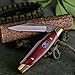Buck Knives 303 Cadet Three 3 Blade Folding Pocket Knife