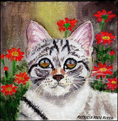 Little Lost Kitty