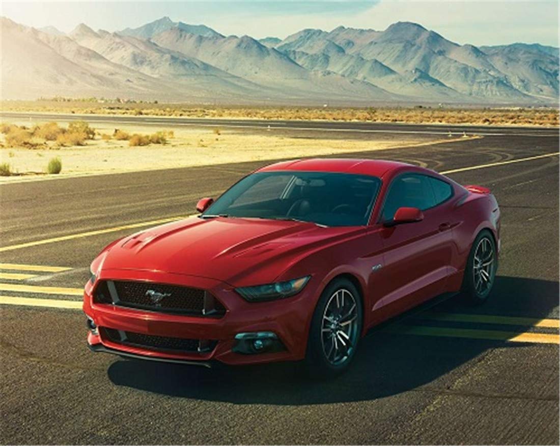 Paint by Numbers Kit DIY Oil Painting Kit for Kids and Adults - Mustang 16"x20" (Framed)