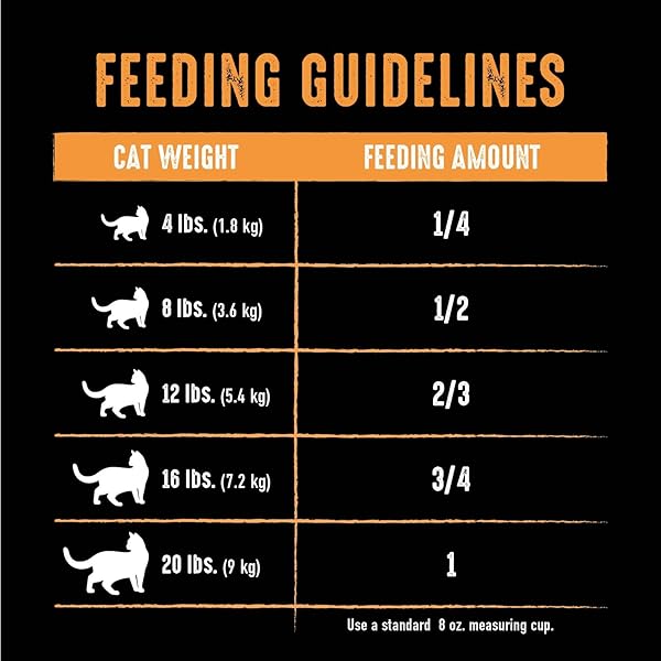 CRAVE GRAIN FREE ADULT HIGH PROTEIN NATURAL DRY CAT FOOD WITH PROTEIN FROM CHICKEN, 10 LB. BAG