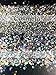 Moonlit Silver Biodegradable Glitter 1 Ounce - Made from Plant Cellulose, Earth Friendly. Perfect for Crafts, DIY Projects, Even Body, Cosmetics. Can be Mixed with Adhesives, Paints, Gels, Oils