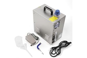 LIKARVA Jewelry Steam Cleaner Machine 110V 2L Gold and Silver Stainless Steel Jewelry Cleaner Steamer Gem Washer Equipment for Cleaning Jewelry/Silver/Gold 1300W US Stock