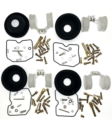 Amazon.com: 4-Pack Carburetor Carb Rebuild Repair Kits with