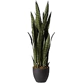 Nearly Natural, Green 4855 35in. Sansevieria with Black Planter
