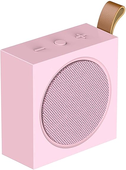 speaker with built in microphone