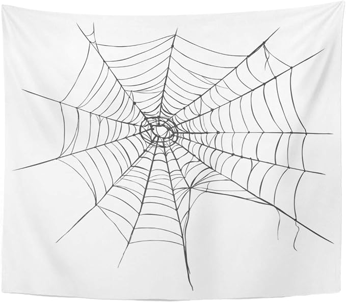 N\A Araña Negra Neta sobre telaraña Blanca Doodle de Dibujos Animados