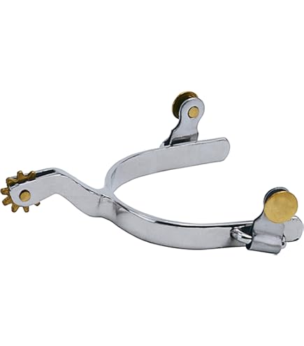 VANELTA montre set ladies 2 montres interchangeables avec 19 de couleur