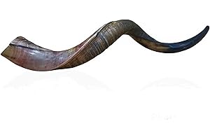 Natural Kudu Horn 20"-22" Shofar Half Polished Sterile Clean New Perfect Sound