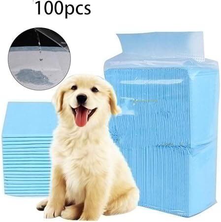 puppy training diapers