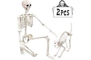 XOYTN 5.4Ft Halloween Life Size Human Skeletons with Cat Skeleton, Plastic Human Realistic Poseable Skeletons Full Body Bones with Movable Joints for Halloween Props Spooky Party Decoration
