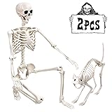 XOYTN 5.4Ft Halloween Life Size Human Skeletons