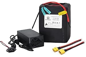 BtrPower 36V 48V 52V 60V 72V Ebike Battery 10AH 20AH 30AH 40AH 50AH 60AH LiFePO4/Lithium Ion Battery Pack with 2A 3A 5A Charger and 20A 40A 50A 80A BMS for 250W 550W 750W 1000W-5500W Motor