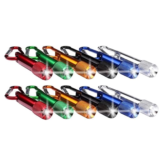 Schramm® 12er Pack Schlüsselanhänger Taschenlampe 6cm Alu mit Karabiner Mini LED-Taschenlampe Lampe