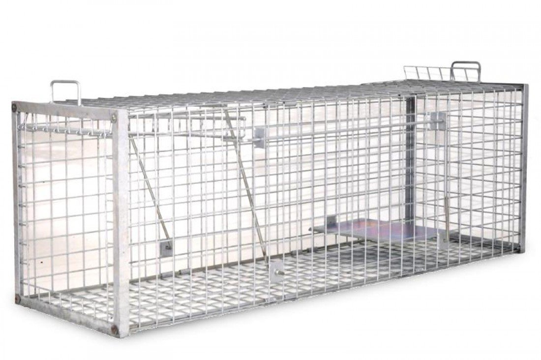Pest-Stop Fox Cage Trap โ Humane Live Animal Trap for Foxes and Similar-Sized Pests โ Galvanised Steel, Rust-Resistant, Reusable โ Easy to Set and Carry โ 1520 x 480 x 520mm โ image 1