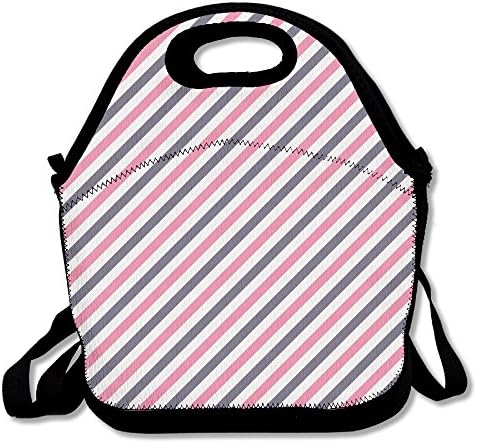 MAGGIE SALAS Diagonal Stripe Pattern Pink Purple Autumn Lunch Bag Travelling Picnic Storage Bags Backpack Handbag