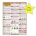 SDS Display Kit Rack Set with Heavy Duty 3 Inch Ring Binder, Wire Rack, SDS Station Sign, Chain, Mounting Hardware & SDS Poster - Organize Safely and Efficiently