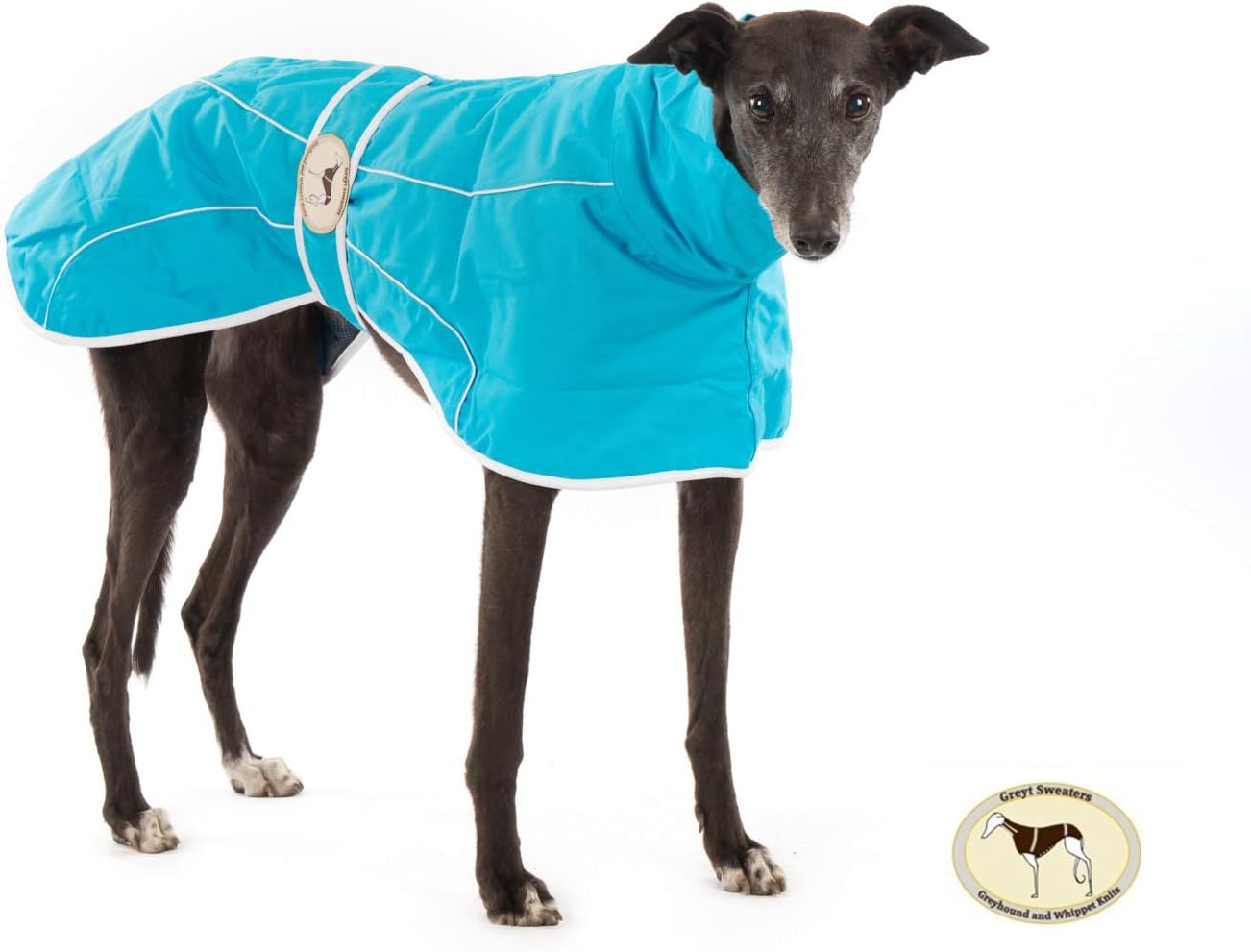 greyhound rain mac
