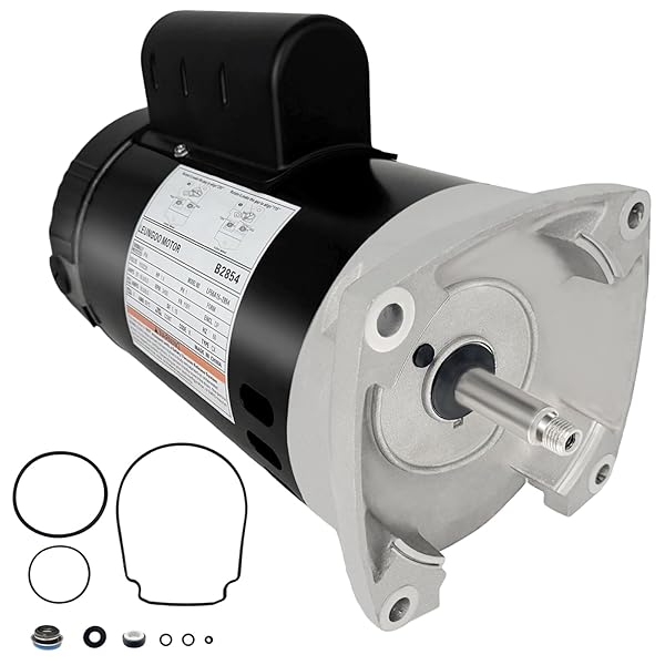 B2854 1-1/2HP, REPLACES CENTURY/AO SMITH POOL PUMP MOTORS,1.5HP,115/230V,...