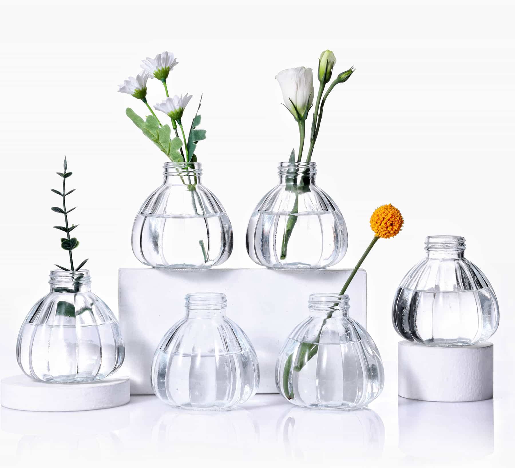 Eidoct Glass Bud Vases Set of 6, Small Bottles for Floral Arrangements, Rustic Decorative Vases for Centerpiece Home Living Room Office Decoration or Wedding Event (Clear)