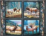 43'' Wide Mountain Sky Pillow Craft Cotton Fabric By The Panel
