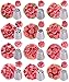 Baking supplies set 25 pcs - Russian piping tips newest patterns - big size 9 flower icing tips and 3 Malaysia pastry nozzles with accessories included in Cake decorating set