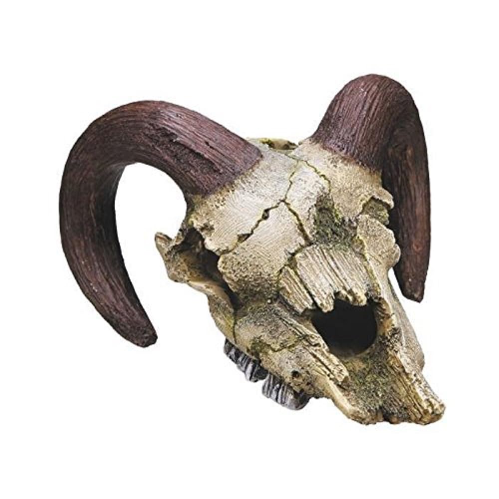 Nobby Ram Skull Aquarium Ornaments, 17.5 x 16 x 9.5 cm