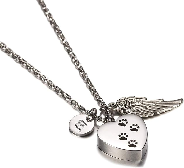 Beydodo Cremation Jewelry for Pet Ashes Stainless Steel Ash Necklace