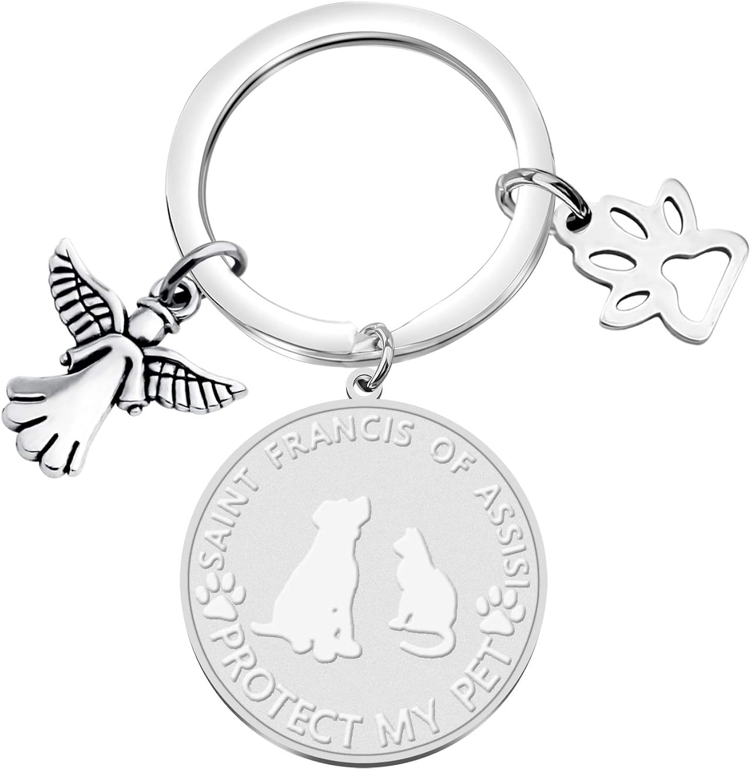 CYTING Saint Francis of Assisi Patron Saint Of Animals Protect My Pet Stainless Steel Dog Cat Pet ID Tag Collar Charm (Protect My Pet ID Tag): Clothing