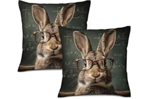 Ice ink Cute Glasses Rabbit Funny Pillow Covers 24x24 Inch Set of 2 Linen Throw Pillowcases Double Sided Double Cushion Cover