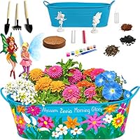 Little Growers Paint & Plant Fairy Garden with Real Flowers and Magical Fairies - Paint, Plant and Grow Morning Glory, Zinnia and Alyssum Flowers - Craft Kit for Kids All Ages Both Girls and Boys