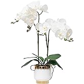 CXGS Orchids Artificial Flowers Real Touch Fake Flowers in Ceramic Pot 20" White Faux Orchid Plant Lifelike Silk Phalaenopsis for Centerpiece Hotel Home Indoor Decor
