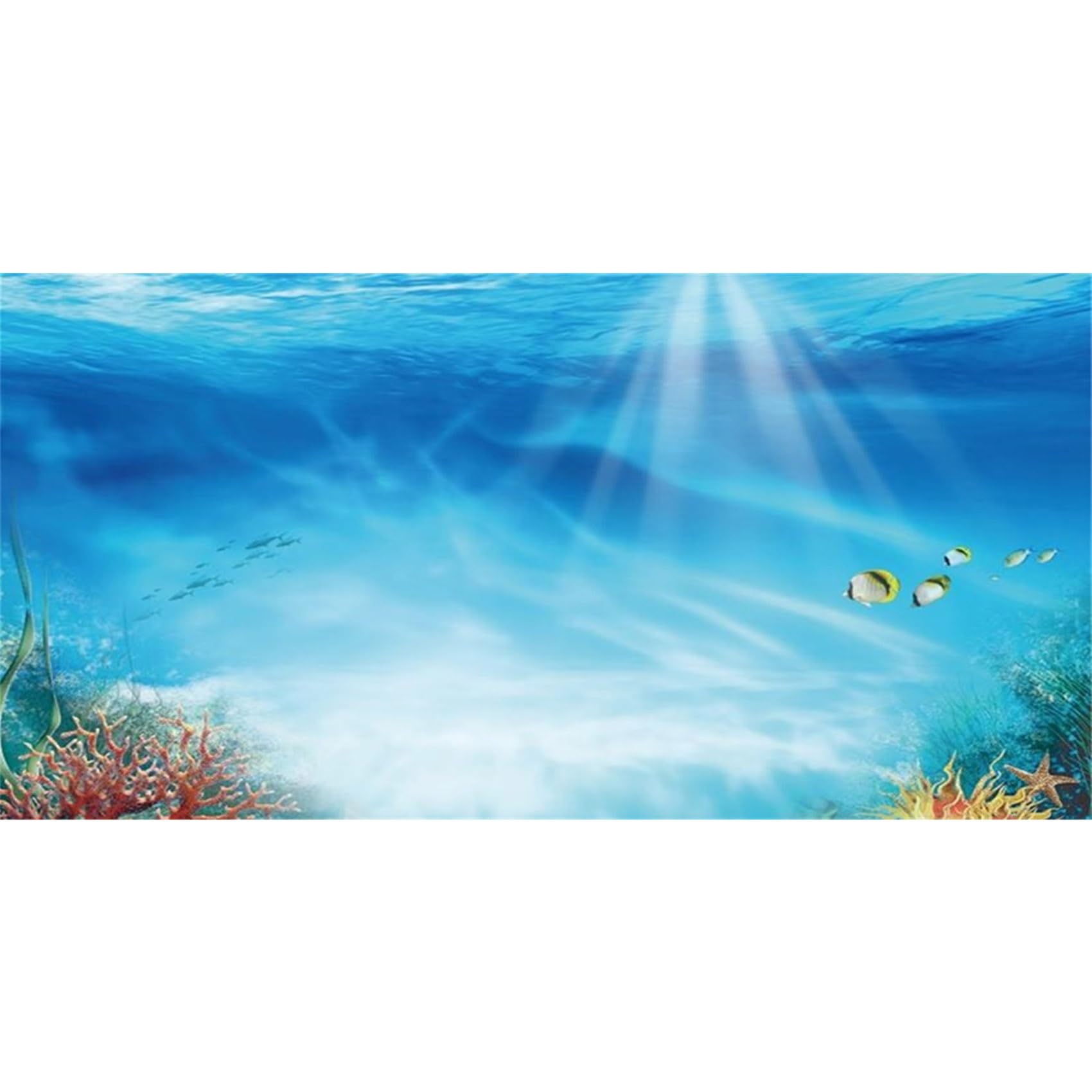 MIRRORANG 120x61cm Undersea Theme Aquarium Background Colorful Coral Tropical Fish Sunshine Underwater World Fish Tank Background