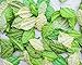 RATREE 888 Handmade 100 pcs Mixed Leaves 45x29mm Mulberry Paper Leaves Scrapbooking Wedding DIY Craft Supplies Card Mulberry Paper Roses Leaves Artificial Leaves