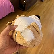 zeus bulldog motorized bouncing toy