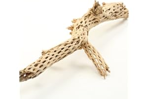 Koyal Wholesale 18-20" Cholla Wood Aquarium Leopard Gecko Tank Accessories Untreated Large Driftwood for Aquarium Wood Hermit Crab Accessories Drift Wood for Shrimp Tank Gecko Accessories