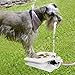 iMounTEK Hygienic Dog/Pet Geyser Water Fountain (41