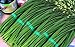 1g (Approx. 300) Garlic Chives Seeds Bot.: "Allium Tuberosum" Chinese Chives, Cinese Leek, Very Valuable Herb 'Fresh Seeds - Best Before 12.2017!'