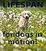 LifeSpan Advanced Liquid Glucosamine, MSM & Chondroitin for Dogs