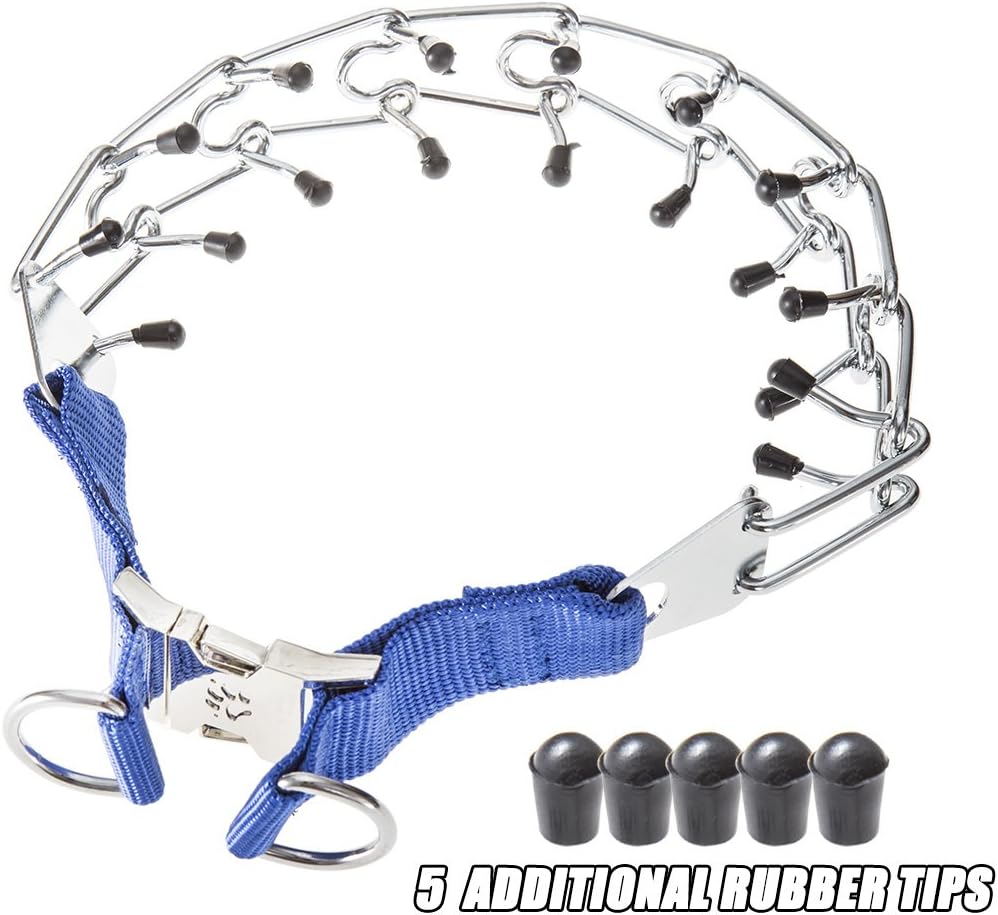Beloved pets TBI Pro Leather Soft Padded Dog Choker Collar With Chain Detachable Leash and Fabric Bag