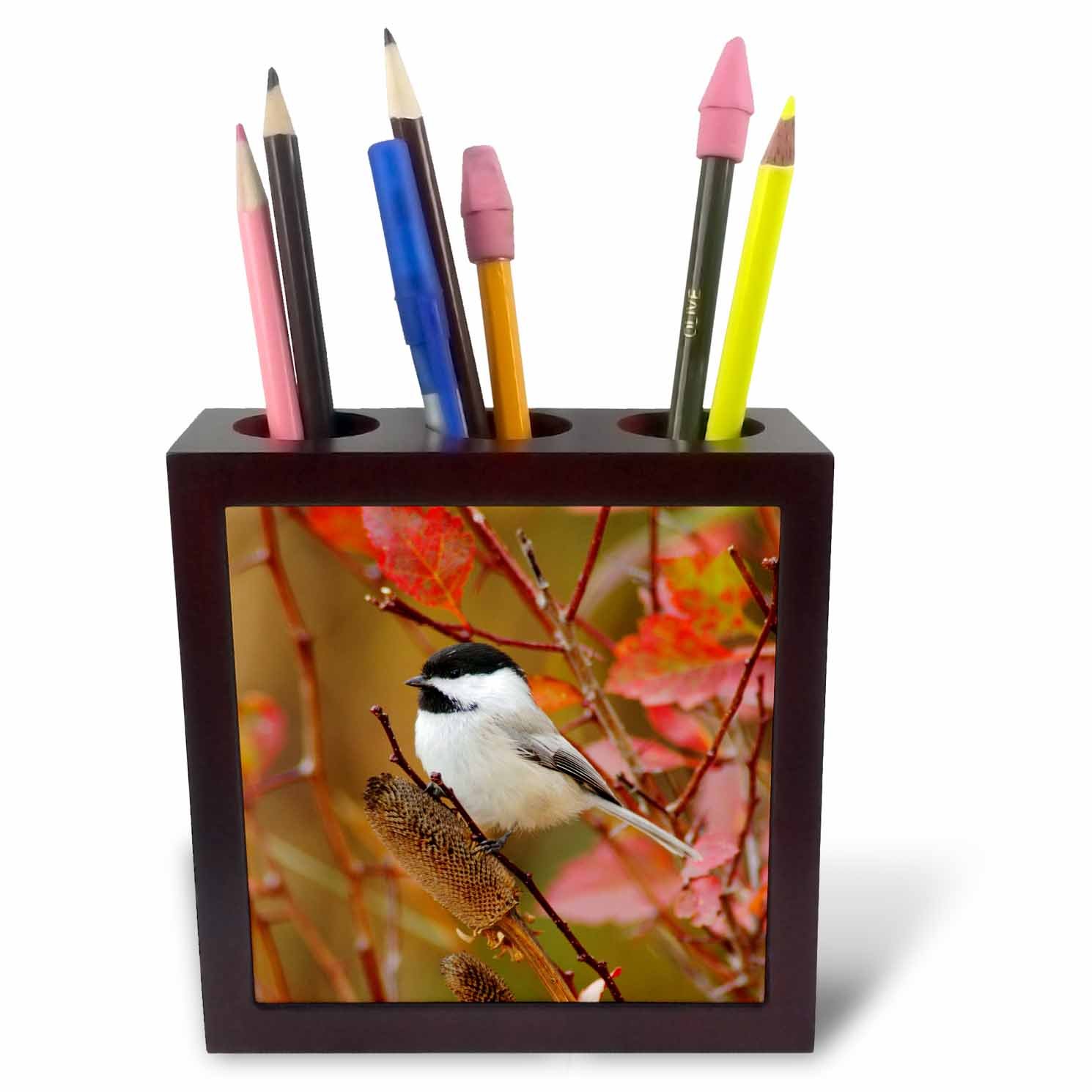 3dRose Black-Capped Chickadee Bird, Grand Teton, Wyoming-NA02 RNU0409-Rolf Nussbaumer-Tile Pen Holder, 5-Inch (Ph_84428_1), 5 Inches