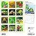 Frogs 2019 Calendar