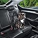 WENFENG Pet Dog Seat Belt, Adjustable Safety Leads Vehicle Pet Dog Cat Car Seatbelt Harness, with Shock Attenuation Elastic Nylon Bungee Buffer, Pack of 2