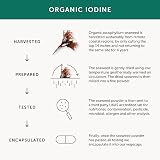 Together Organic Seaweed Iodine Supplement 3x90 Vegecaps UK Made view 6