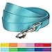 Blueberry Pet Essentials Turquoise Dog Leash for Large - 4' * 1