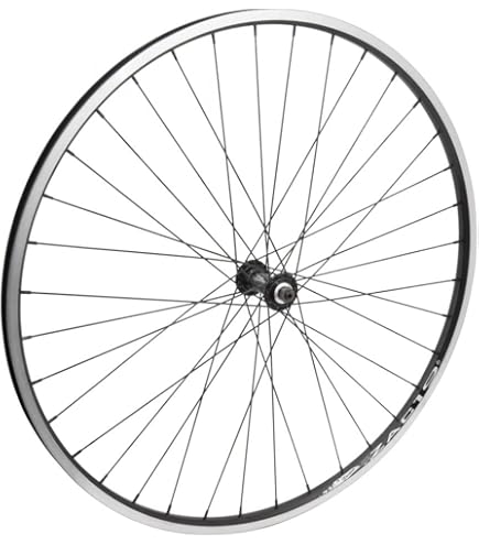 Amazon.com : Wheel Masters Wheel FT 700 622 x 17 Alex AT470 Black
