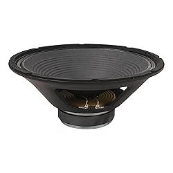 Sound Town 12-Inch 65 Watt Replacement Guitar