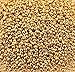Miyuki Round Seed Bead Size 15/0 8.2g-Tube Galvanized Gold