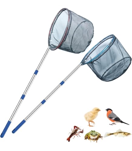 Épuisette Télescopique Enfant - 2/3/4 Pièces, Filet Papillon, Pour Pêche, Chasse Aux Insectes, Activités Plein Air