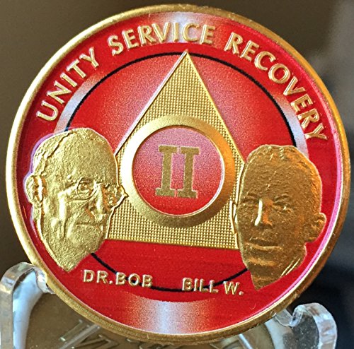 2 Year Founders AA Medallion Red Gold Plated Chip