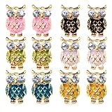 6 Pairs Assorted Colors Owl NightHawk Enamel Paint Cute Stud Earrings Stainless Steel Pin, Hypoallergenic